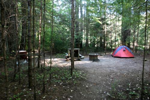 our environmental camp