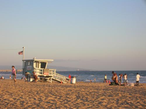 hello Venice beach