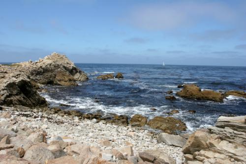 beautiful Monterrey coast