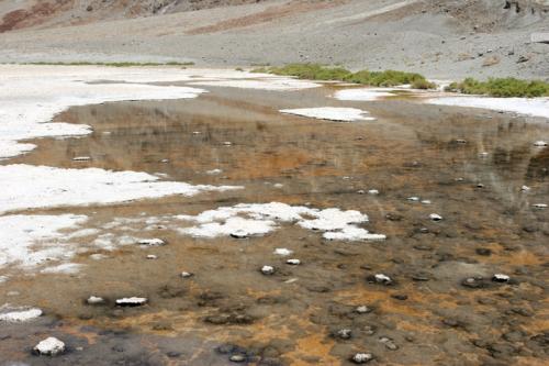 salt crystals and water