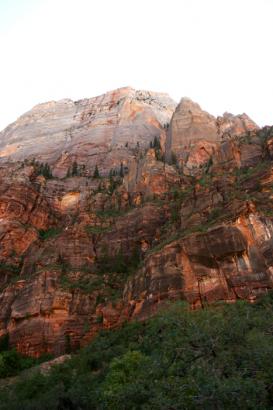red rocks of Zion