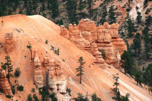 weird & wonderful landscape