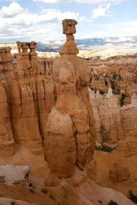 natural chess pieces
