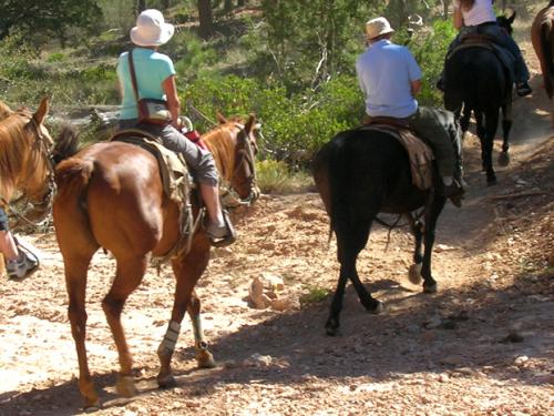 Sue & Julie, Eddie & Bob
