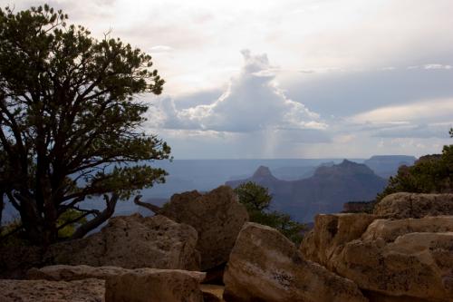 more stormy skies