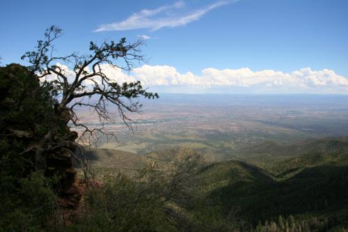 above Cottonwood