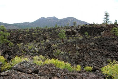 lava fields Arizona
