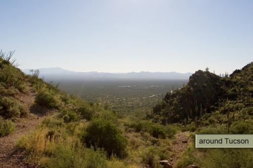 looking over the desert