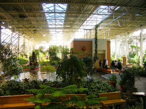 Devonian gardens