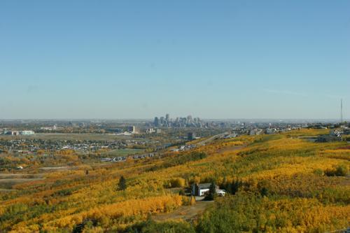 view from ski jump