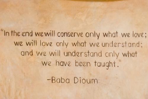 nice statement