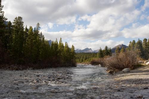Mosquito Creek