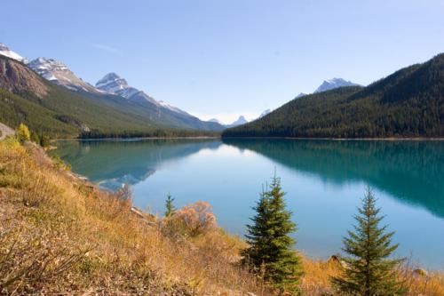 beautiful roadside lake