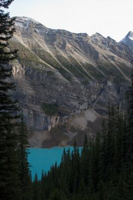 amazing colour