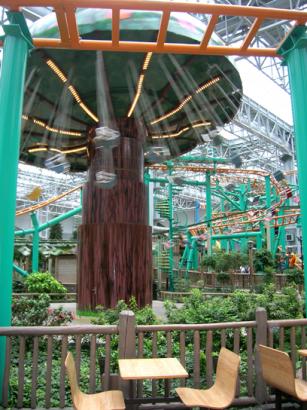 Fair ride in the mall!!