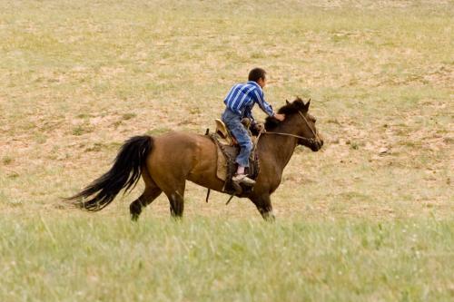 mongolian-style