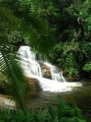 lush waterfall