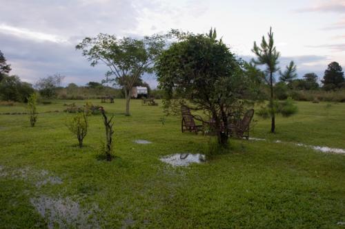 very sodden garden