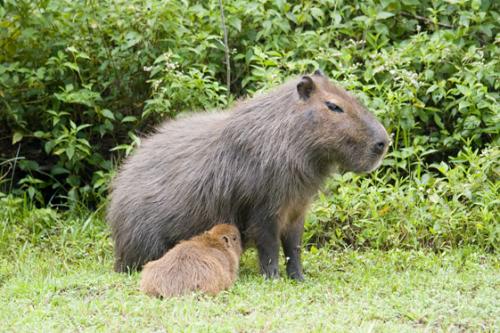 mum and baby