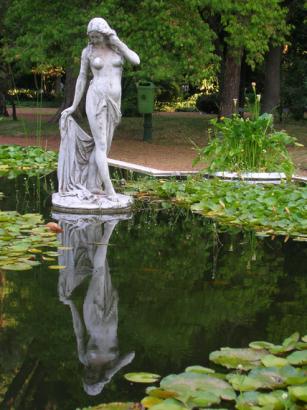 mirror image
