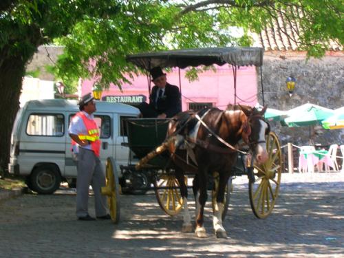 horse drawn carriage