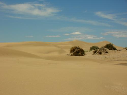 into the desert!!