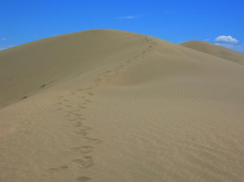 footprints in the sand