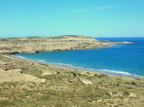 whale watching bay