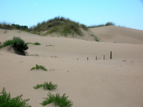 buried fence!!