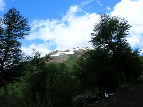 to the snowline