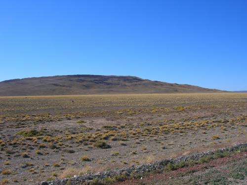 Patagonian Steppe