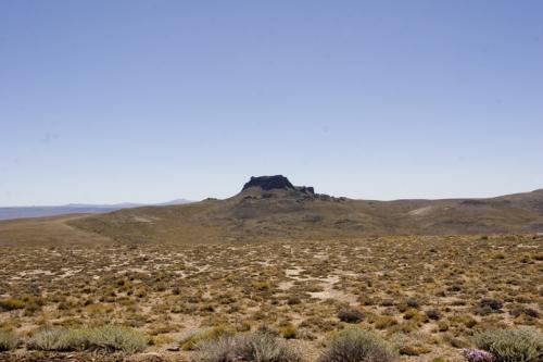 more endless steppe