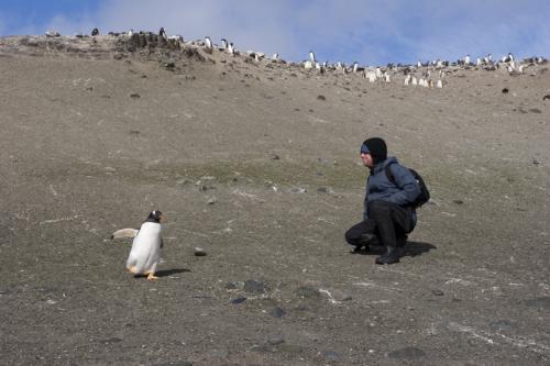 first Penguin encounter