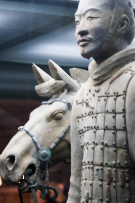 display-warrior-5