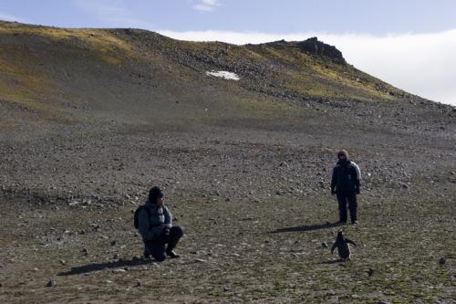 Rob, Phil and Gentoo