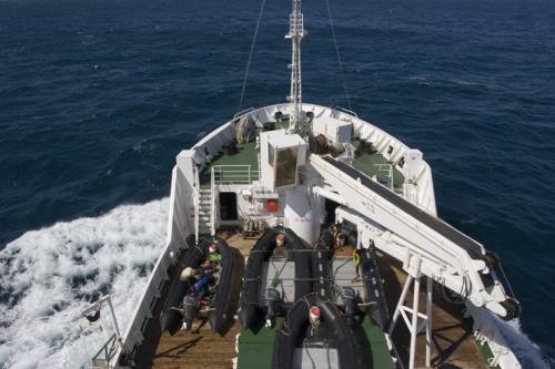 back on board
