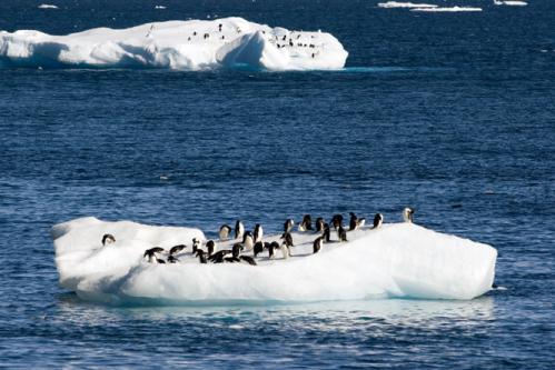 drifting along
