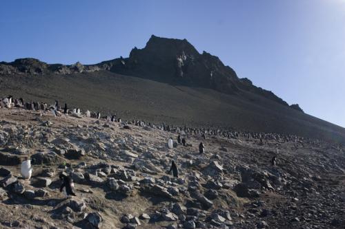Devil Island landscape