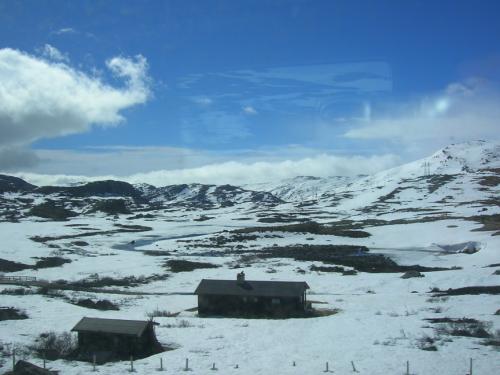 houses in the snow