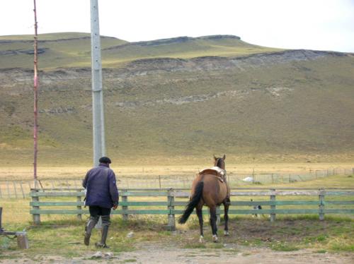 Gaucho & his horse