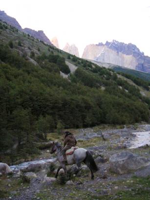 Gaucho and Torres