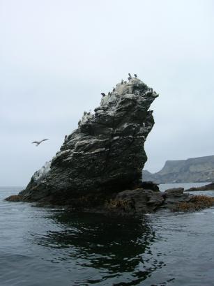 crazy shaped rock