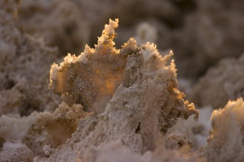 close up of salt flat