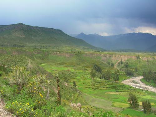Inca ampitheatre