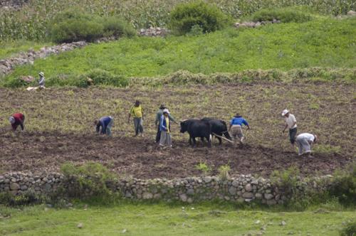 old fashioned farming