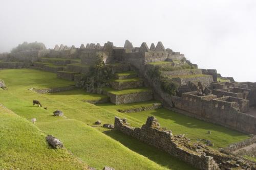 awesome place