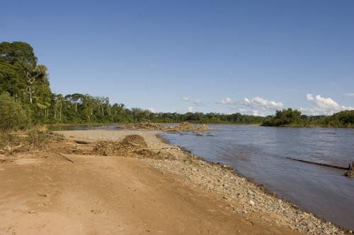 Beni river bank