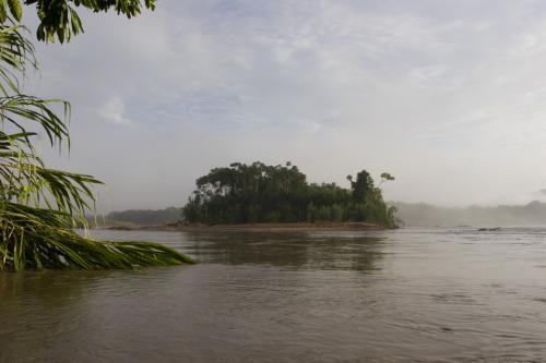 misty morning