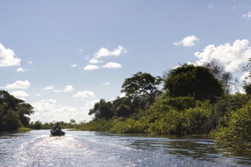 into the pampas