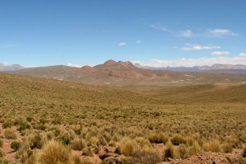 more mad landscape